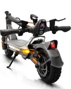 LAELIN RZ800 E-Scooter, Straßenzulassung, Fingerabdrucksensor